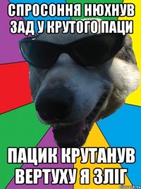спросоння нюхнув зад у крутого паци пацик крутанув вертуху я зліг