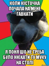 коли кісточка почала на мене гавкати я поня шо не треба було нюхати ту муку на столі