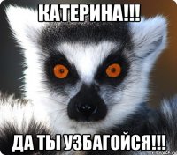 Катерина!!! Да ты узбагойся!!!