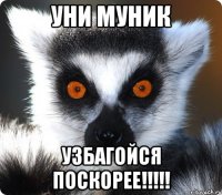 Уни муник Узбагойся поскорее!!!!!