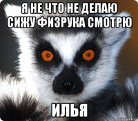 Я не что не делаю сижу физрука смотрю Илья