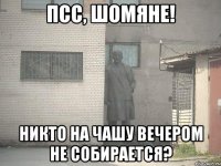 псс, шомяне! никто на чашу вечером не собирается?