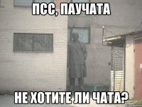 Псс, паучата не хотите ли чата?