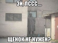 ЭЙ, пссс.... Щенок не нужен?