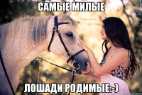 Самые милые Лошади родимые:-)