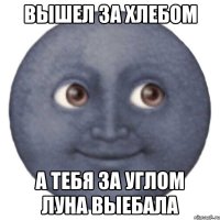 ВЫШЕЛ ЗА ХЛЕБОМ А ТЕБЯ ЗА УГЛОМ ЛУНА ВЫЕБАЛА