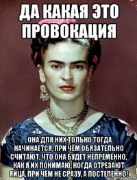 Да какая это провокация , она для них только тогда начинается, при чём обязательно считают, что она будет непременно, как я их понимаю, когда отрезают яйца, при чём не сразу, а постепенно!