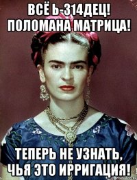 Всё Ь-314дец! Поломана матрица! Теперь не узнать, чья это ирригация!