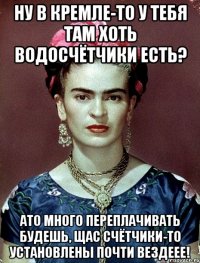 Ну в Кремле-то у тебя там хоть водосчётчики есть? АТО много переплачивать будешь, щас счётчики-то установлены почти вездеее!