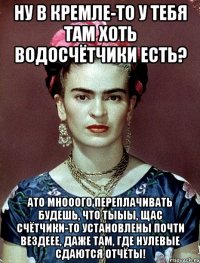 Ну в Кремле-то у тебя там хоть водосчётчики есть? АТО мнооого переплачивать будешь, что тыыы, щас счётчики-то установлены почти вездеее, даже там, где нулевые сдаются отчёты!