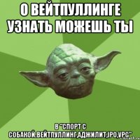 О вейтпуллинге узнать можешь ты В "Спорт с собакой.Вейтпуллинг,аджилит,IPO,VPG"