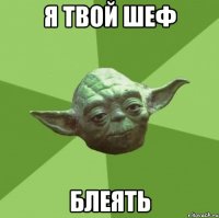 Я твой шеф Блеять
