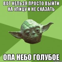 ВОТ НЕЛЬЗЯ ПРОСТО ВЫЙТИ НА УЛИЦУ И НЕ СКАЗАТЬ ОПА НЕБО ГОЛУБОЕ