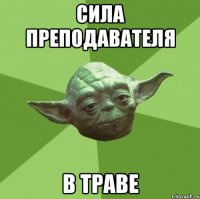 Сила преподавателя В траве