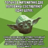 Только в математике две половины составляют одно целое. В жизни совсем не так: например, полоумный муж и полоумная жена — несомненно, две половины, но в сложности они дают двух сумасшедших и никогда не составят одного полного умного.