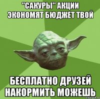 "Сакуры" акции экономят бюджет твой бесплатно друзей накормить можешь