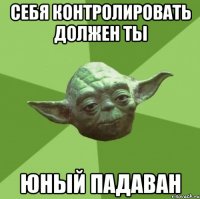 Себя контролировать должен ты Юный падаван