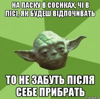 На Паску в соснках, чі в лісі, як будеш відпочивать то не забуть після себе прибрать