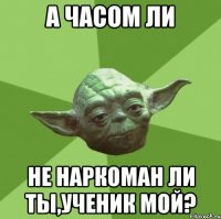 А часом ли не наркоман ли ты,ученик мой?