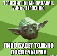 терпения юный падаван, учись терпению пиво будет только после уборки