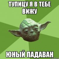 тупицу я в тебе вижу юный падаван