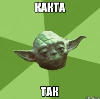 какта так