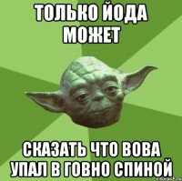 Только Йода может Сказать что Вова упал в говно спиной