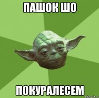 пашок шо покуралесем