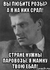 Вы любите розы? а я на них срал! стране нужны паровозы, я мамку твою ебал!