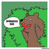Принцесса Лея!