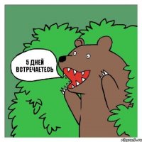 5 дней встречаетесь