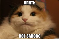 ОПЯТЬ ВСЕ ЗАНОВО