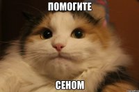 помогите сеном