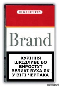 куріння шкідливе бо виростут великі вуха як у віті черпака