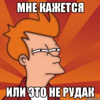 МНЕ КАЖЕТСЯ ИЛИ ЭТО НЕ РУДАК