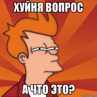 хуйня вопрос а что это?
