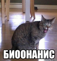  БИООНАНИС