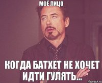 Моё лицо Когда Батхет не хочет идти гулять...