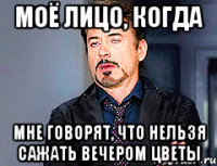 Моё лицо, когда мне говорят, что нельзя сажать вечером цветы