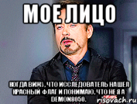 Мое лицо Когда вижу, что исследователь нашел красный флаг и понимаю, что не я а demon8050.