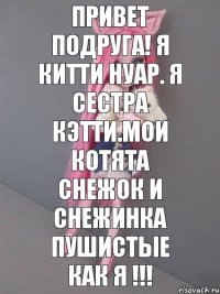 привет подруга! я Китти Нуар. я сестра Кэтти.мои котята снежок и снежинка пушистые как я !!!