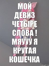 Мой девиз четыре слова ! Мяууу Я крутая кошечка