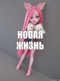 Новая жизнь