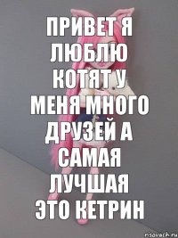 привет я люблю котят у меня много друзей а самая лучшая это Кетрин