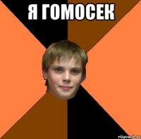 Я гомосек 
