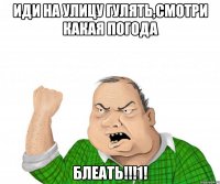 Иди на улицу гулять,смотри какая погода БЛЕАТЬ!!!1!