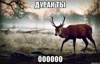 дурак ты оооооо