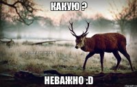 какую ? неважно :D