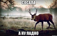 сосала а ну ладно