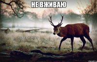 Не вживаю 